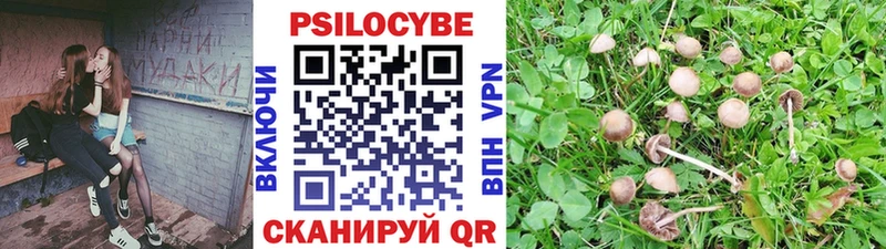 Галлюциногенные грибы Magic Shrooms Вязники